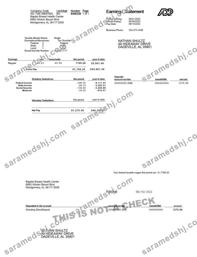 ADP Earnings Statement